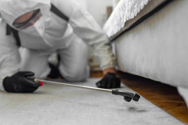 Professional Termite Control technician working in Kingston, IL