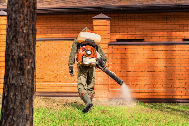 Top rated local Termite Control specialists in Kingston, IL